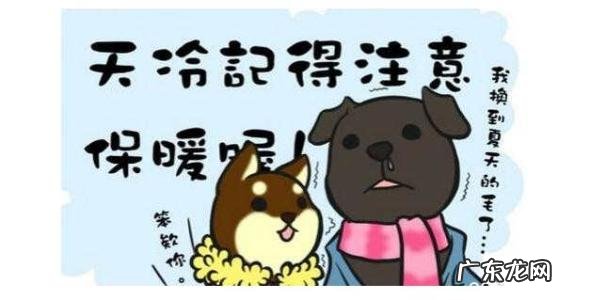 天冷了关心短信