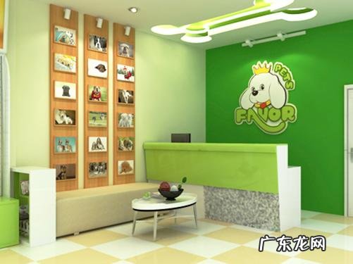 开个宠物店需要什么