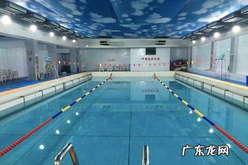 开个游泳馆大约多少钱