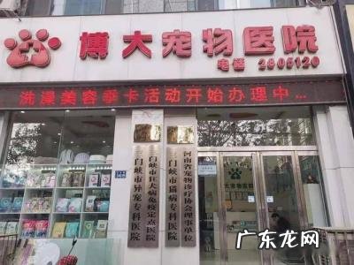 开宠物医院需要什么条件