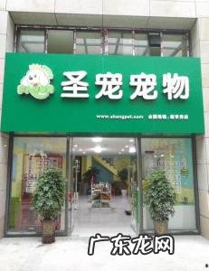 开宠物店费用