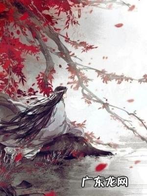 向江南折过花对春风与红蜡