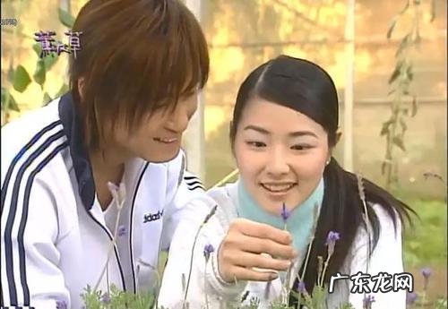 台湾最新偶像剧