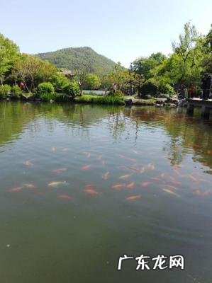 西湖一日游攻略