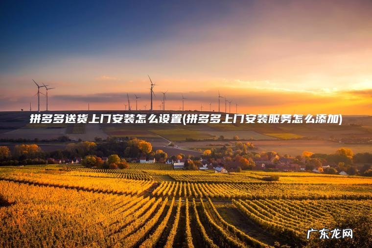 拼多多送货上门安装怎么设置(拼多多上门安装服务怎么添加)