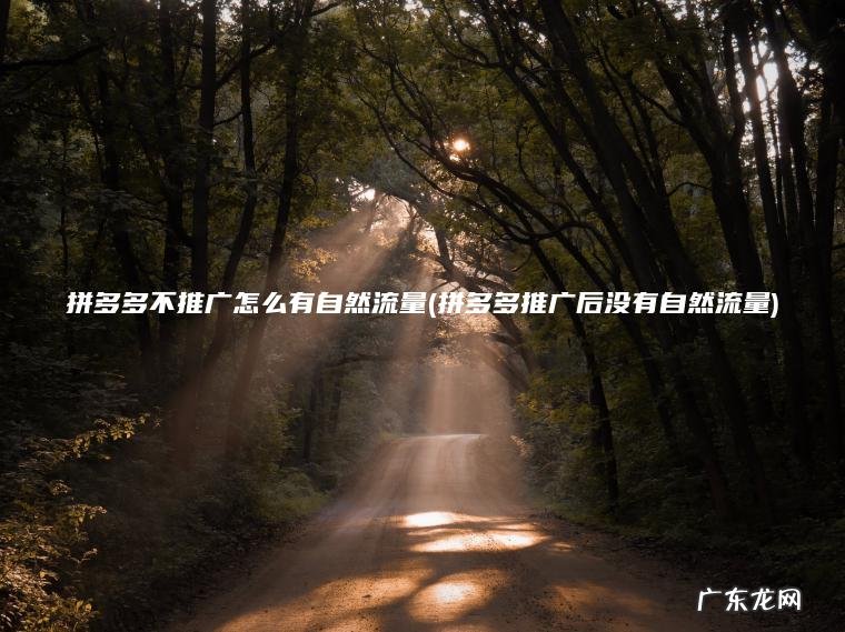 拼多多不推广怎么有自然流量(拼多多推广后没有自然流量)