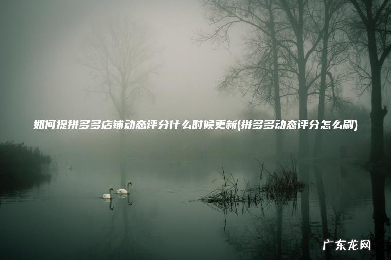 如何提拼多多店铺动态评分什么时候更新(拼多多动态评分怎么刷)