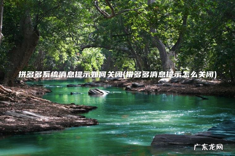 拼多多系统消息提示如何关闭(拼多多消息提示怎么关闭)