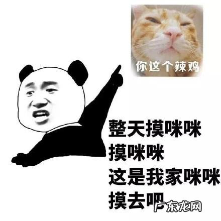 微信群名字搞笑逗比