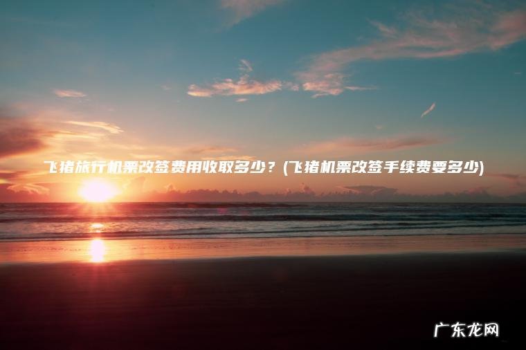 飞猪旅行机票改签费用收取多少？(飞猪机票改签手续费要多少)