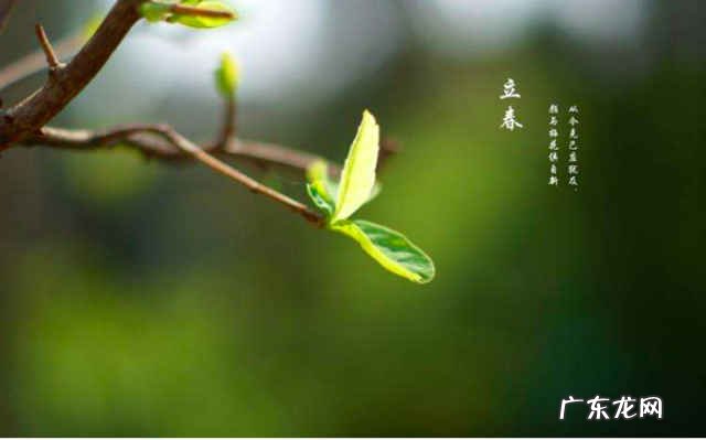 2019年立春是几月几号