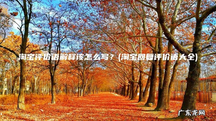 淘宝评价语解释该怎么写？(淘宝回复评价语大全)