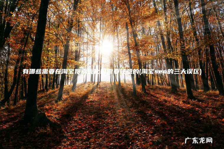 有哪些需要在淘宝搜索优化时需要注意的(淘宝seo的三大误区)