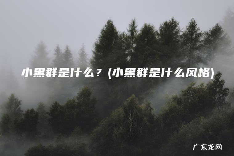 小黑群是什么？(小黑群是什么风格)