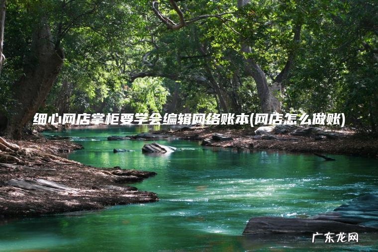 细心网店掌柜要学会编辑网络账本(网店怎么做账)