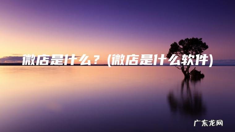 微店是什么？(微店是什么软件)