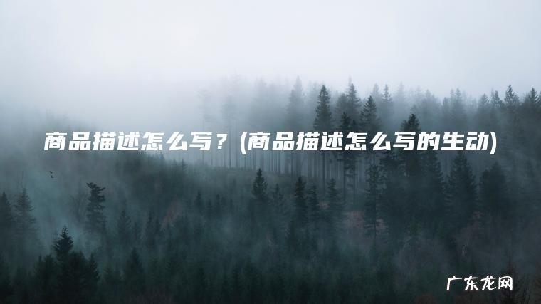 商品描述怎么写？(商品描述怎么写的生动)