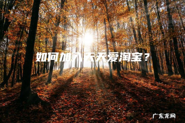 如何加入天天爱淘宝？