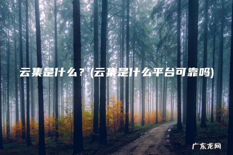 云集是什么？(云集是什么平台可靠吗)