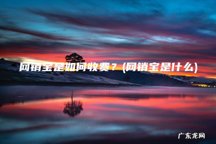 网销宝是如何收费？(网销宝是什么)