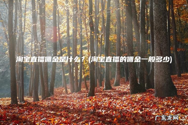 淘宝直播佣金是什么？(淘宝直播的佣金一般多少)