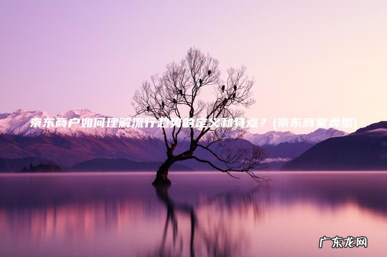 京东商户如何理解流行趋势的定义和特点？(京东商家类型)