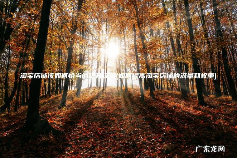 淘宝店铺该如何恰当的提升流量(如何提高淘宝店铺的流量和权重)