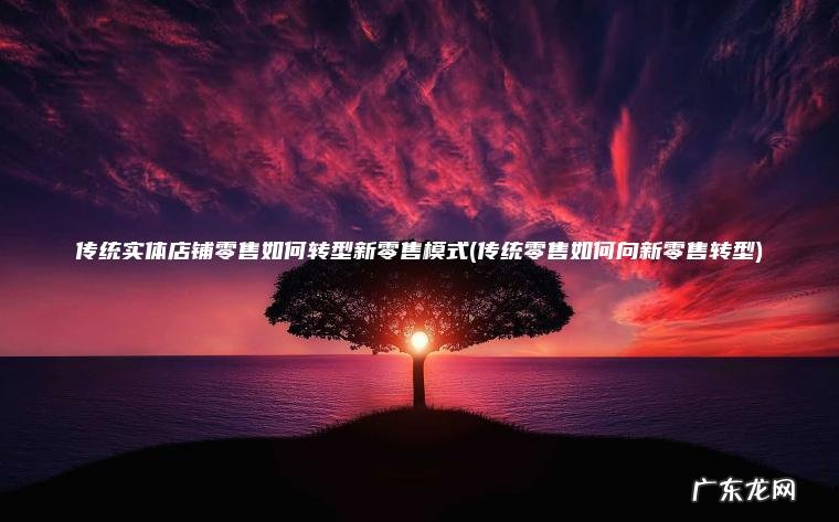 传统实体店铺零售如何转型新零售模式(传统零售如何向新零售转型)