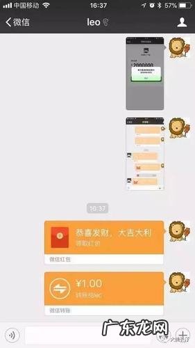 微信转账对方不收会退回吗