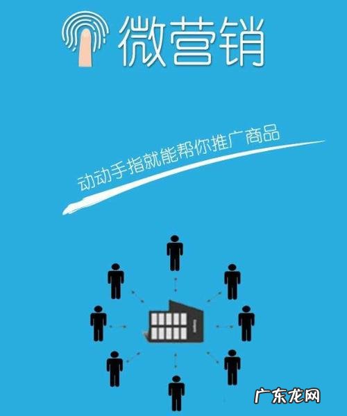 微电商运营公司