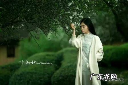 心如止水什么意思