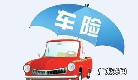 必买的四种车险