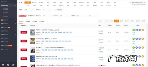 快手数据分析工具