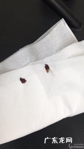 怎样判断床上有臭虫