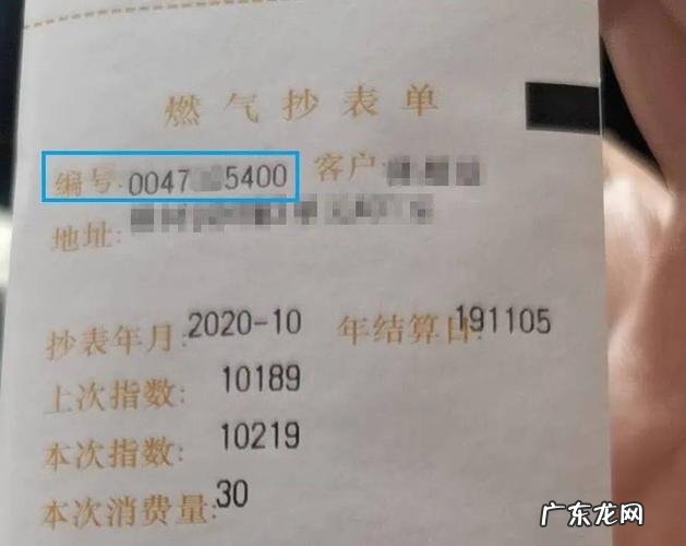 怎样查看自己燃气户号