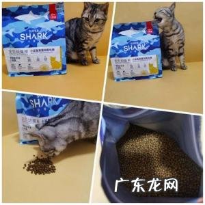 性价比高的猫粮