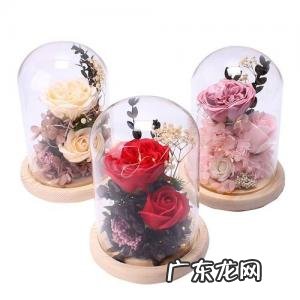 情人节礼物送女友