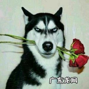 成功人士用的微信头像