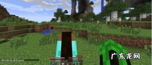 我的世界如何驯服马