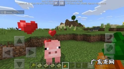 我的世界怎么驯服羊驼