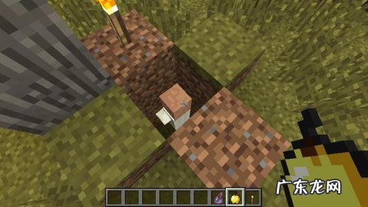 我的世界村民怎变士兵