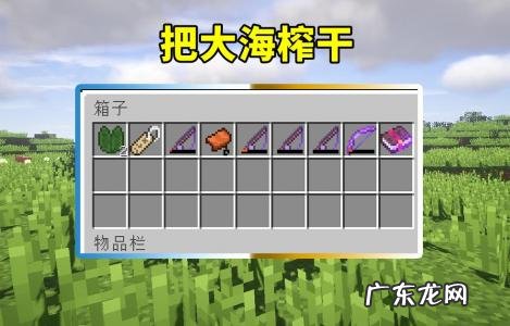 我的世界海之眷顾有什么用