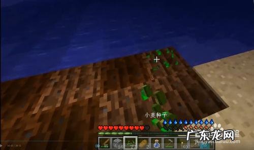 我的世界火影忍者指令