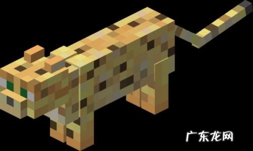 我的世界豹猫怎么驯服