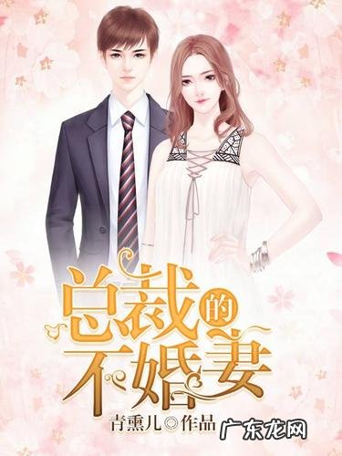 我的双面总裁全文免费阅读