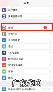 手机副卡是什么意思