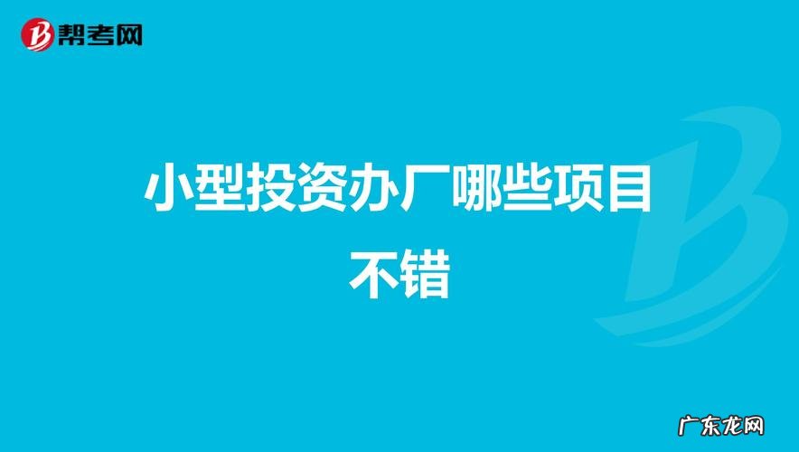 投资办厂项目