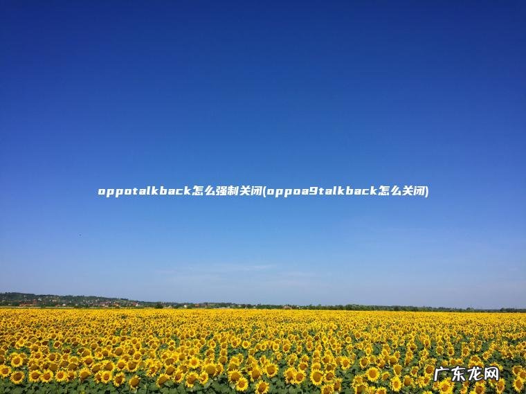 oppotalkback怎么强制关闭(oppoa9talkback怎么关闭)