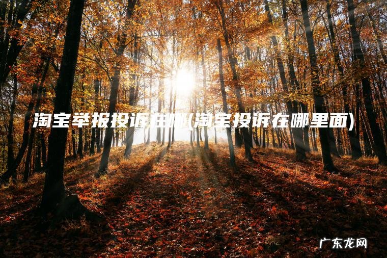 淘宝举报投诉在哪(淘宝投诉在哪里面)