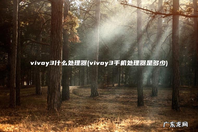 vivoy3什么处理器(vivoy3手机处理器是多少)